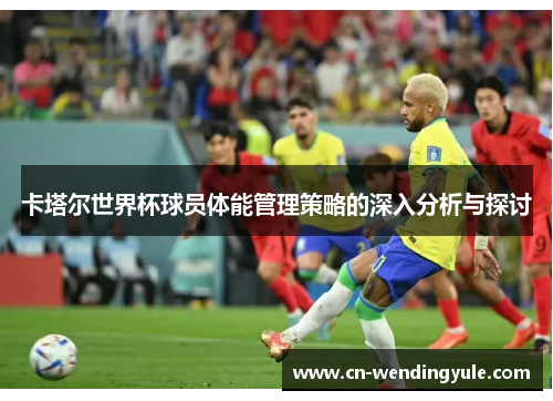 卡塔尔世界杯球员体能管理策略的深入分析与探讨