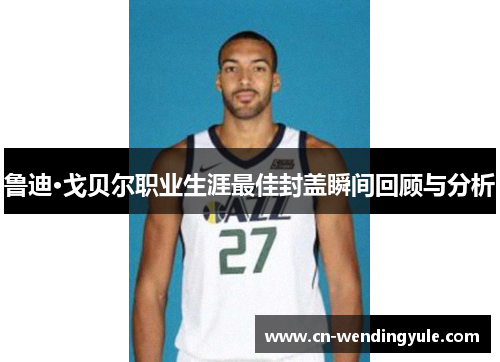 鲁迪·戈贝尔职业生涯最佳封盖瞬间回顾与分析