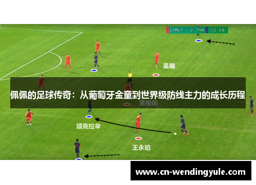 佩佩的足球传奇：从葡萄牙金童到世界级防线主力的成长历程