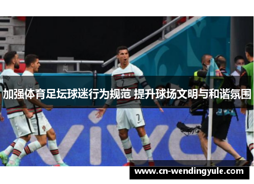 加强体育足坛球迷行为规范 提升球场文明与和谐氛围