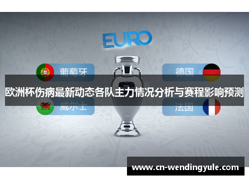 欧洲杯伤病最新动态各队主力情况分析与赛程影响预测