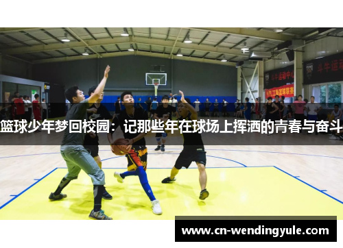 篮球少年梦回校园：记那些年在球场上挥洒的青春与奋斗