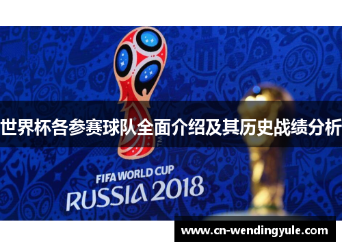 世界杯各参赛球队全面介绍及其历史战绩分析