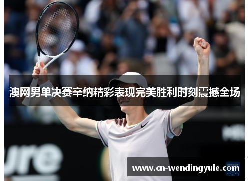 澳网男单决赛辛纳精彩表现完美胜利时刻震撼全场