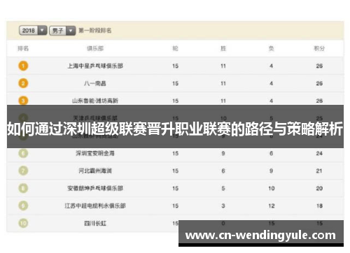如何通过深圳超级联赛晋升职业联赛的路径与策略解析