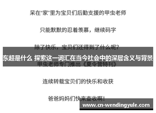 东超是什么 探索这一词汇在当今社会中的深层含义与背景
